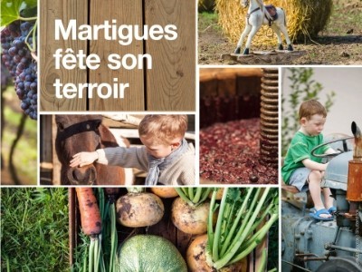 Martigues terroir