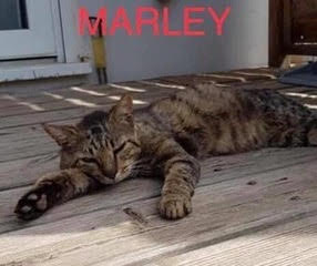 Marley