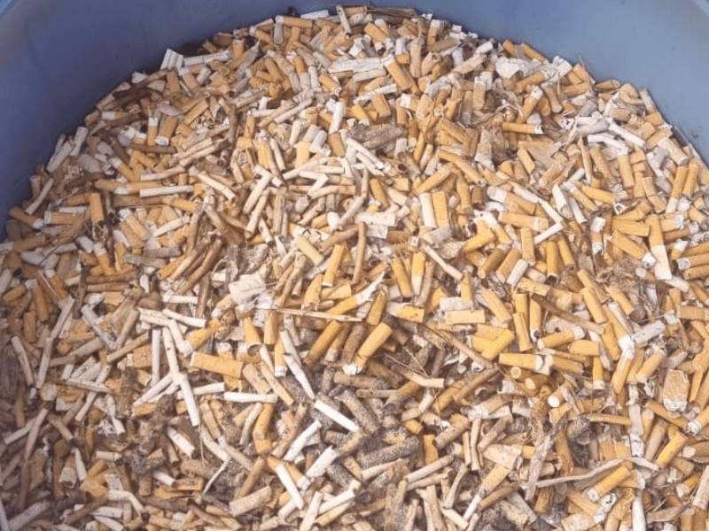 Mégots