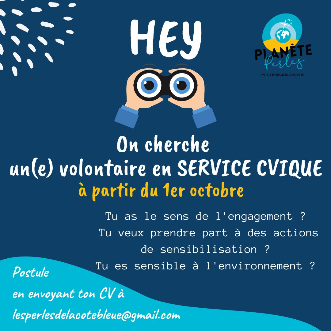 Mission service civique