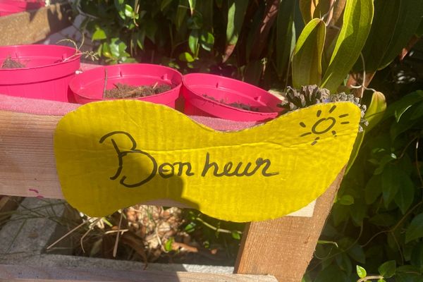 sensibilisation environnement hebdomadaire