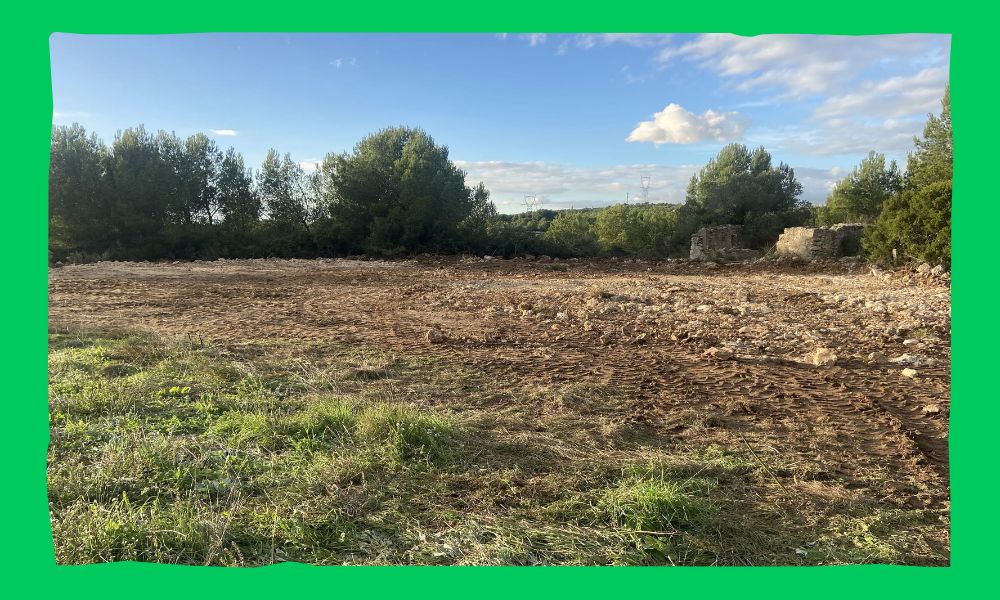 Butinerie Terrassement