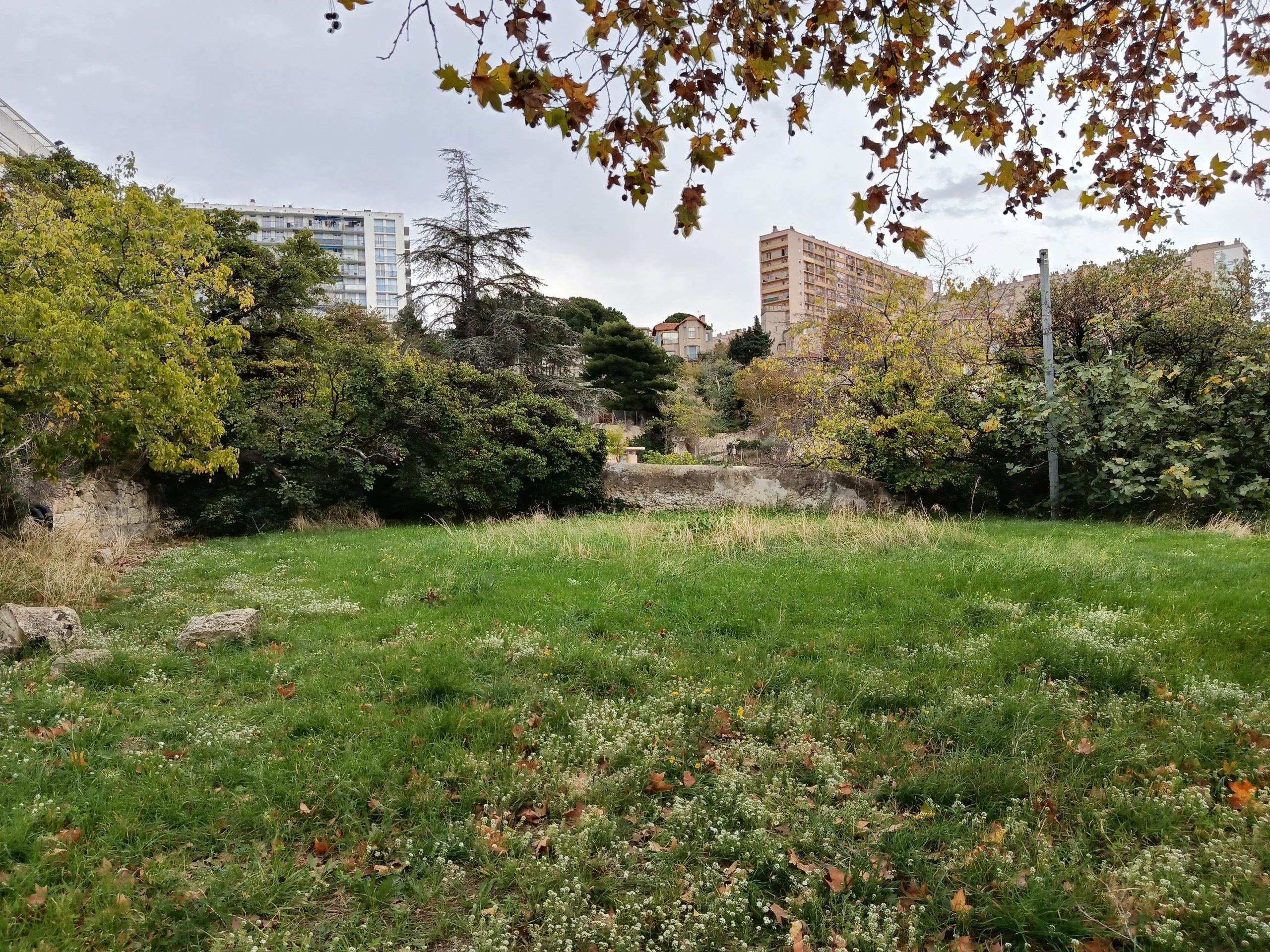 Aire terrestre educative