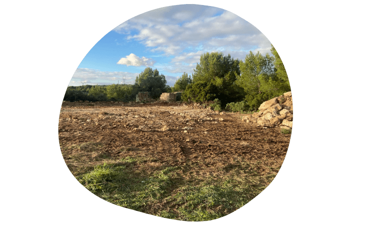 Butinerie Terrassement