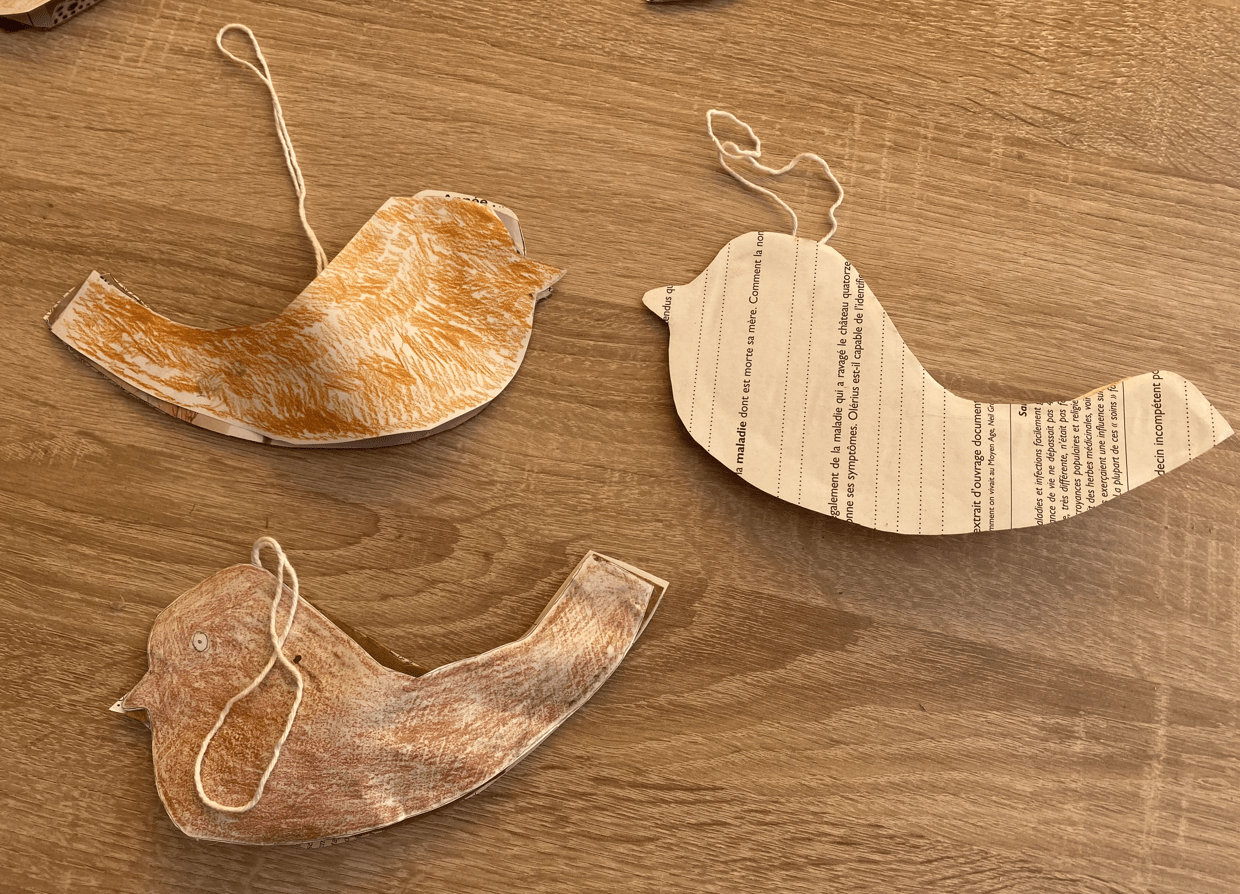 Oiseaux Vertes collines